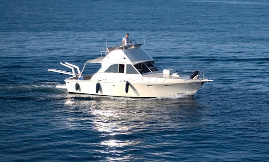 Fishing Charter in Bertram 35ft Sport Fisherman Yacht in Crete, Greece