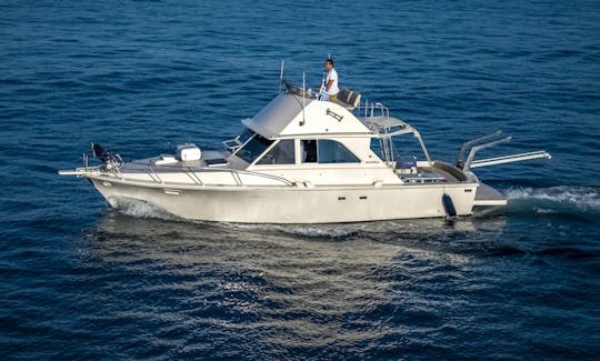 Fishing Charter in Bertram 35ft Sport Fisherman Yacht in Crete, Greece