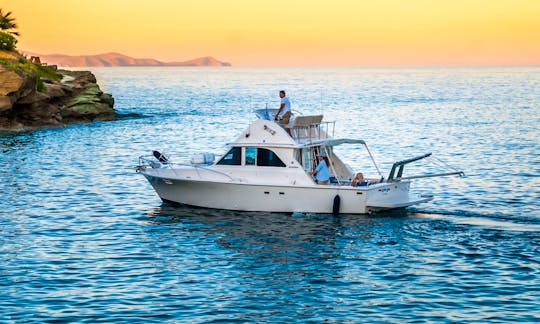 Fishing Charter in Bertram 35ft Sport Fisherman Yacht in Crete, Greece