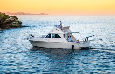 Fishing Charter in Bertram 35ft Sport Fisherman Yacht in Crete, Greece