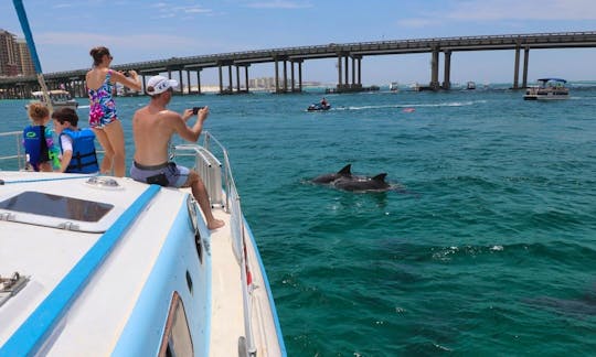 4-Hour Private Charter in Destin, Florida! Crab Island, Snorkeling, Dolphins & More!