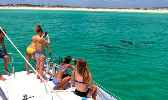 4 Hour Private Charter in Destin, FL! Crab Island, Snorkeling, Dolphins & More!