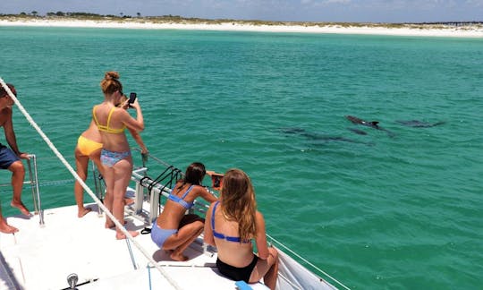 4 Hour Private Charter in Destin, FL! Crab Island, Snorkeling, Dolphins & More!