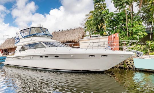 Croisière à Miami sur un magnifique yacht à moteur Sea Ray Sedan Bridge de 50 pieds