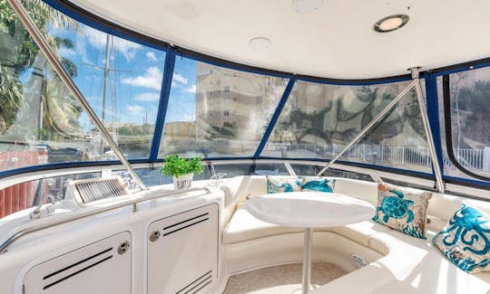 Croisière à Miami sur un magnifique yacht à moteur Sea Ray Sedan Bridge de 50 pieds