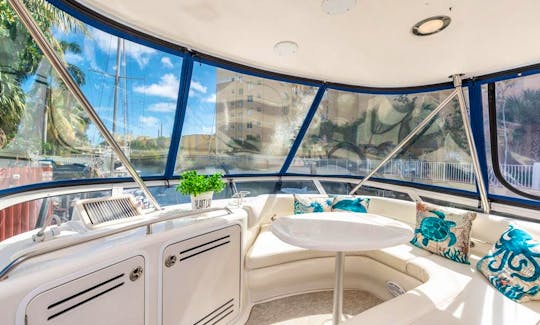 Miami Cruise On A Beautiful 50' Sea Ray Sedan Bridge Motor Yacht