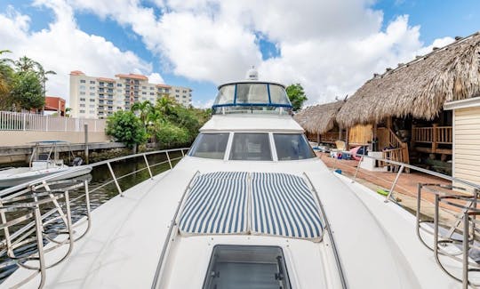 Cruzeiro em Miami em um lindo iate a motor Sea Ray Sedan Bridge de 50 pés