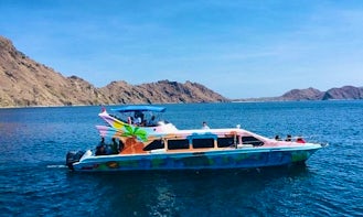 Daily Dragon Speed Boat Tour in Komodo