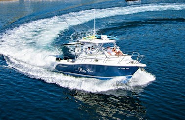 32ft Motor Yacht Fishing or Sightseeing in Guanacaste Province!