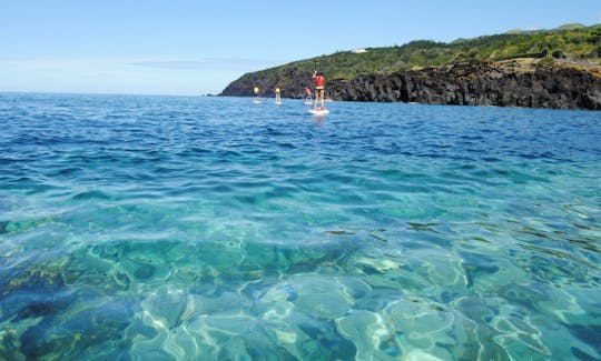 Stand Up Paddle Rentals in São Jorge Island, Azores