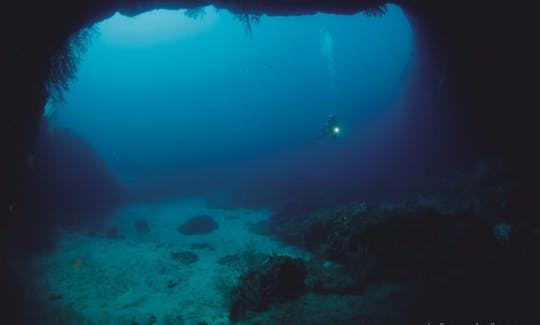 Buceo en la isla de San Jorge, Azores