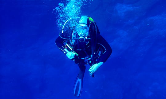 Try Scuba-diving experience in Arrábida