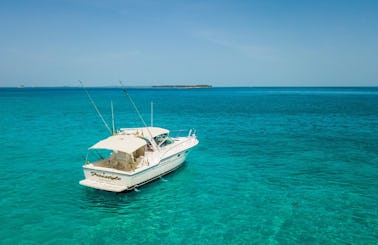 38' Tiara Motor Yacht Fishing / Snorkel in Nassau