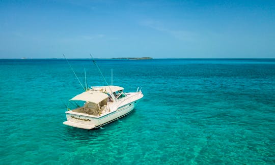 38' Tiara Motor Yacht Fishing / Snorkel in Nassau