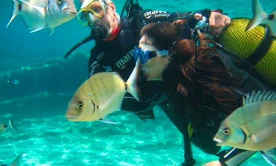 Scuba Diving Trip in İzmir, Turkey
