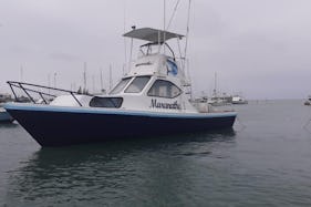 SportFishing with Blue Marlin Charter in Bahia de Caraquez, Ecuador