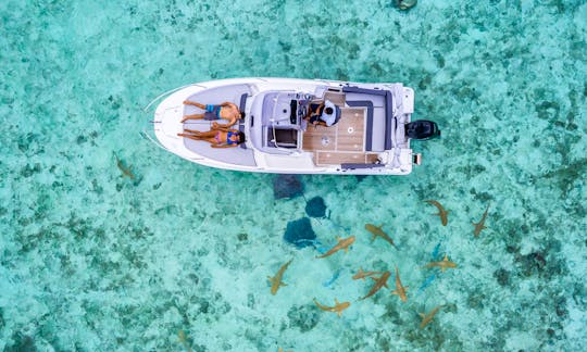 Bora Bora Private Boat Rental on Cap Camarat 25ft