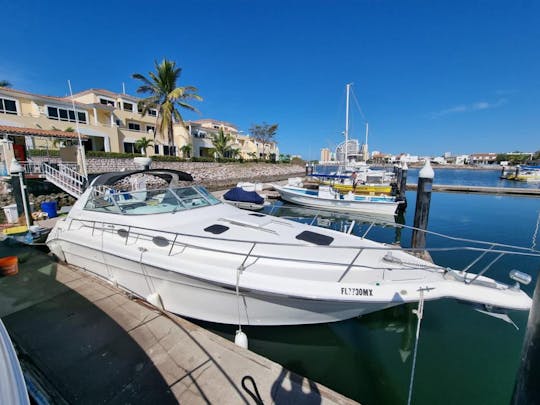 Yacht à moteur Sea Ray de 33 pieds à louer 