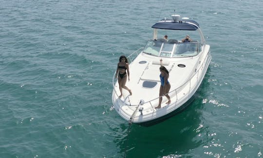 38ft Sea Ray Sundancer in Chicago, Burhnam Harbor (Up to 12 guests)