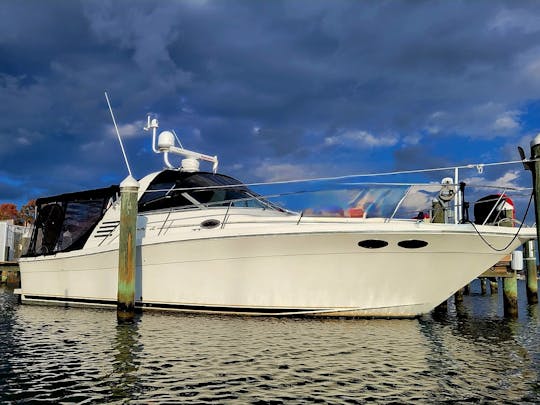 "RENT ME" Spacious 38' Cruiser- plenty of room for celebrating or relaxing!!!