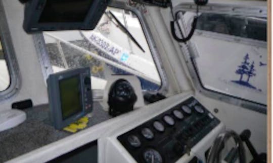 Garmin GPS and sonar, Radar, AM/FM and two VHF radios