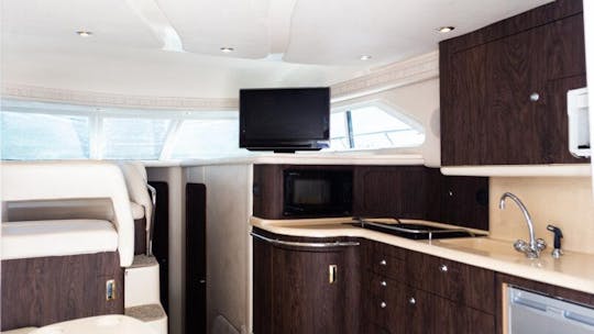 SeaRay 41 Fly Bridge Motor Yacht Charter #GMBSR43MS