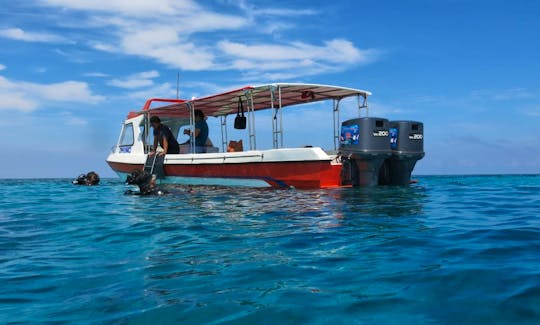 Fiberglass Speedboat for 10 People in Kecamatan Makassar, Indonesia - Great for Private Trips!