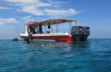Fiberglass Speedboat for 10 People in Kecamatan Makassar, Indonesia - Great for Private Trips!