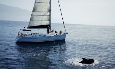 Beneteau Cyclades 43.4, 14 mètres de location de voile à Puerto Canerias