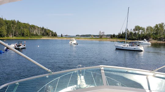 33ft Flybridge Cruiser with Captain in Halifax