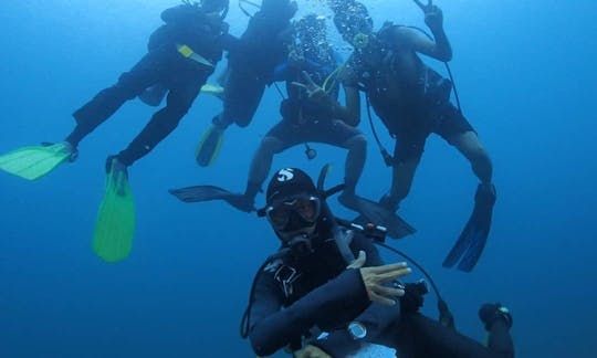 Learn Diving in Petaling Jaya, Malaysia!