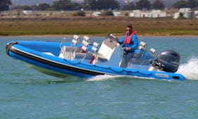 Private Speed Boat Tour at the Ria Formosa Natural Park