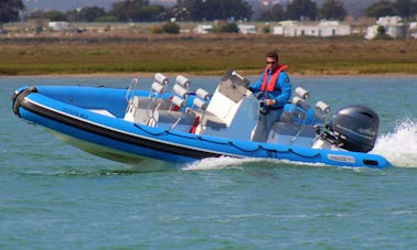 Private Speed Boat Tour at the Ria Formosa Natural Park