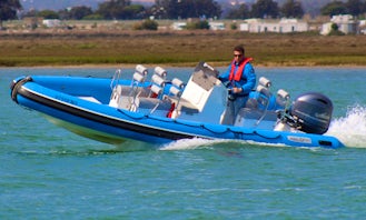 Speed Boat Tour at the Ria Formosa Natural Park