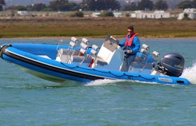 Speed Boat Tour at the Ria Formosa Natural Park