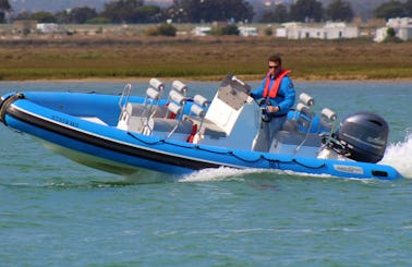 Private Speed Boat Tour at the Ria Formosa Natural Park