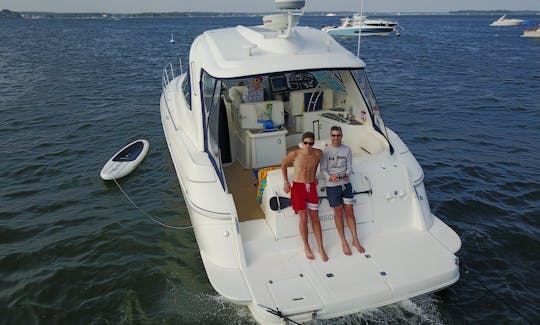 Alquiler de Cruisers 420 Express Cruiser en Long Island Sound