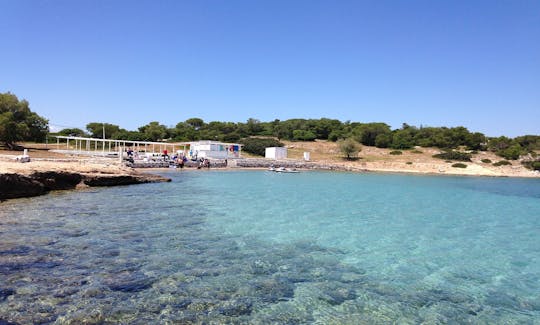 Viaje diario desde Atenas a las islas Egina y Moni
