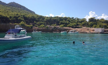 Excursion quotidienne d'Athènes aux îles Égine et Moni