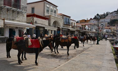 Excursion quotidienne d'Athènes à l'île d'Hydra avec Nimbus T11