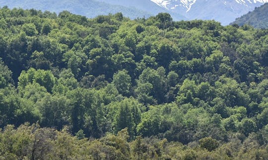 Fun Rafting Trips in Providencia, Chile