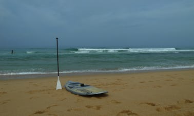 Aluguel de pranchas de remo em Hamburgo