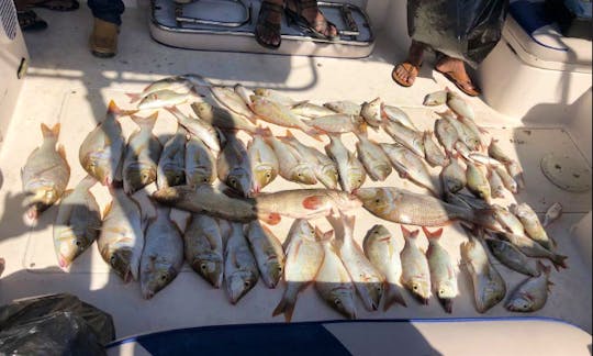 Enjoy Deep Sea Fishing In Ras Al Khaimah and catch the best with us
