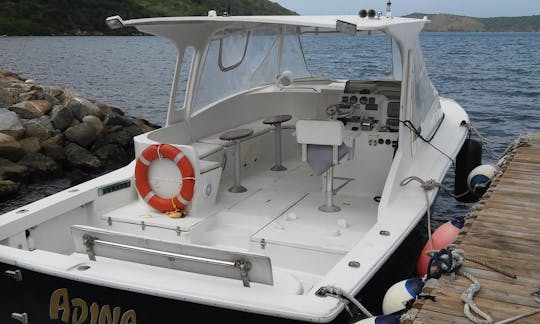 Fabulous Chris Craft Boat for charter -  British Virgin Islands