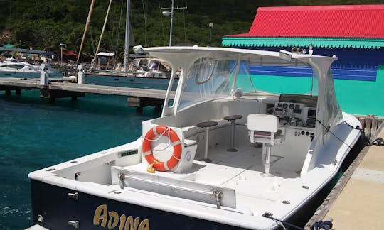 Fabulous Chris Craft Boat for charter -  British Virgin Islands