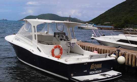 Fabulous Chris Craft Boat for charter -  British Virgin Islands
