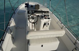 Swim and Feed The Turtles Little Farmer’s Cay with Skippered Boston Whaler 220 Dauntles