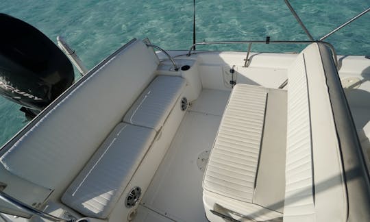Staniel Cay Private 22 Boston Whaler Dauntless avec capitaine et compagnon jusqu'à 7 personnes