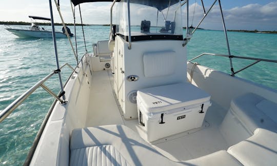 Soldado 22 Boston Whaler Dauntless con capitán y compañero (hasta 7 personas)