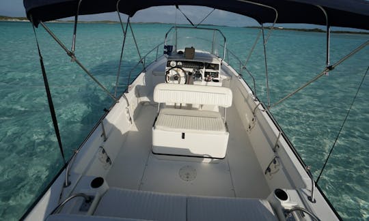 Staniel Cay Private 22 Boston Whaler Dauntless avec capitaine et compagnon jusqu'à 7 personnes